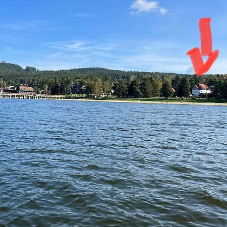 דירות ליפנו נאד וויטאבו Riviera Lipno 415 מראה חיצוני תמונה