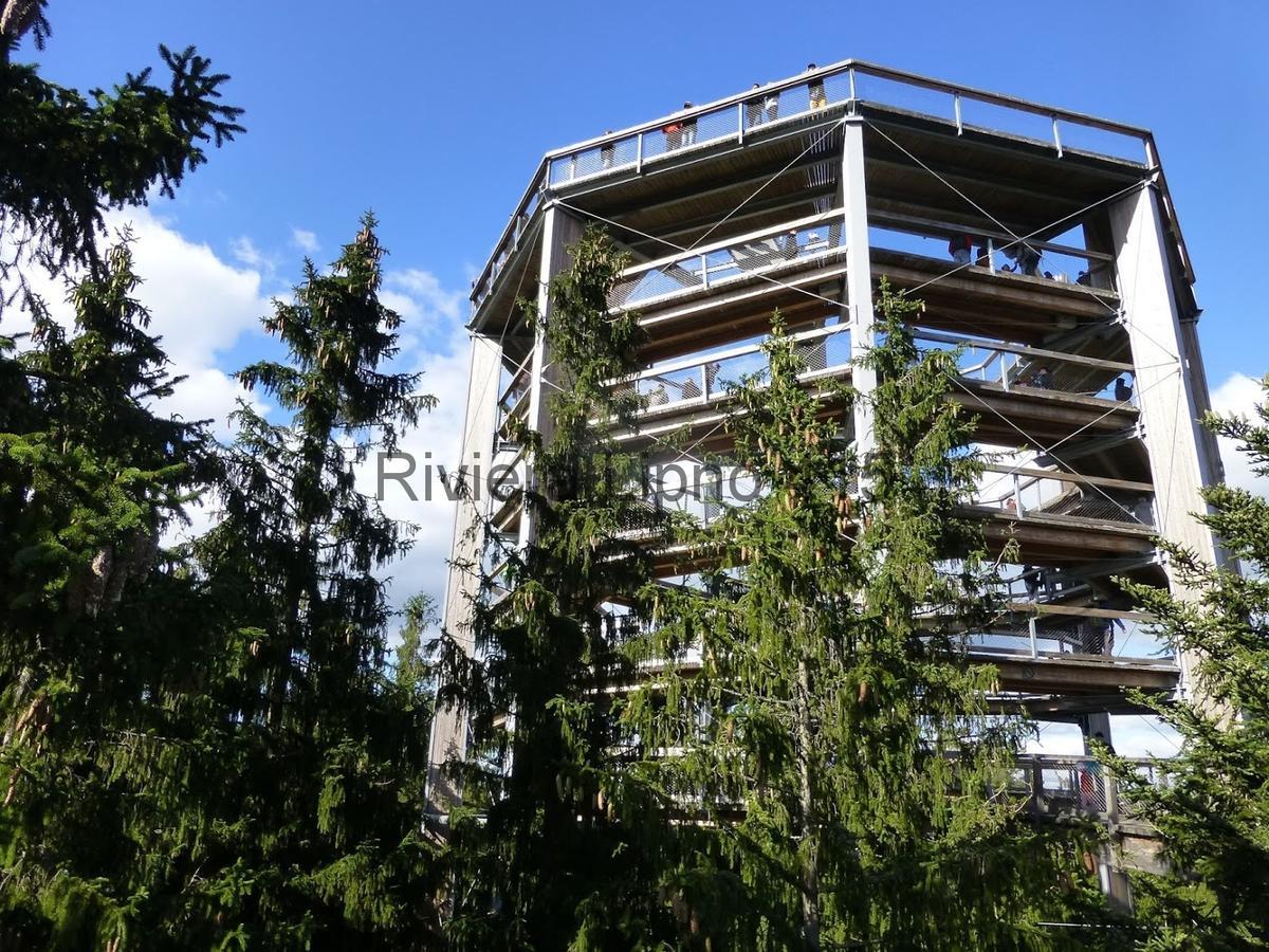 דירות ליפנו נאד וויטאבו Riviera Lipno 415 מראה חיצוני תמונה